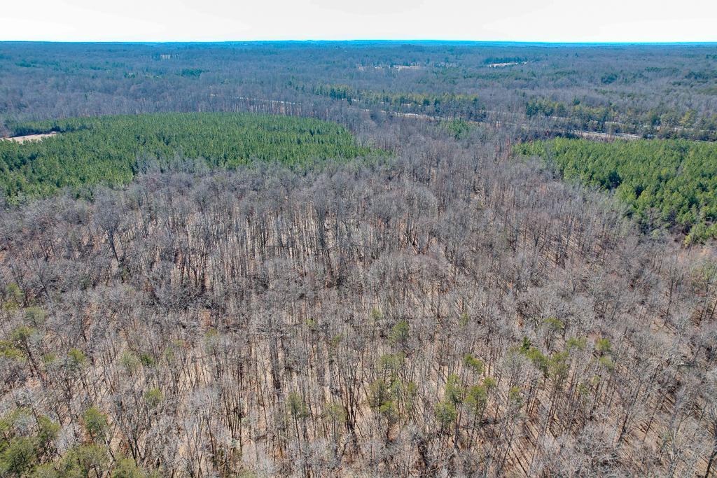 Louisa, VA 63.146 acres Land and Farms Realty